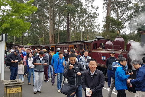 Day Tour Of Yarra Valley Puffing Billy And Rayners Orchard - Accommodation Bookings 3