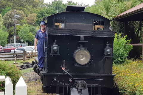 Day Tour Of Yarra Valley Puffing Billy And Rayners Orchard - Accommodation Bookings 11