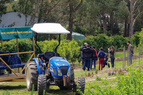 Day Tour Of Yarra Valley Puffing Billy And Rayners Orchard - Accommodation Bookings 10