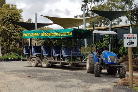 Day Tour Of Yarra Valley Puffing Billy And Rayners Orchard - Accommodation Bookings 17