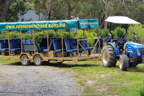 Day Tour Of Yarra Valley Puffing Billy And Rayners Orchard - Accommodation Bookings 48