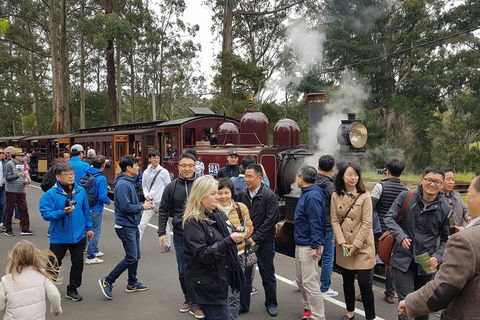 Day Tour Of Yarra Valley Puffing Billy And Rayners Orchard - Accommodation Bookings 18