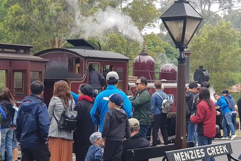 Day Tour Of Yarra Valley Puffing Billy And Rayners Orchard - Accommodation Bookings 40