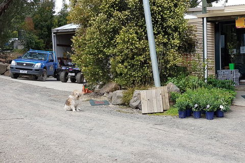 Day Tour Of Yarra Valley Puffing Billy And Rayners Orchard - Accommodation Bookings 6