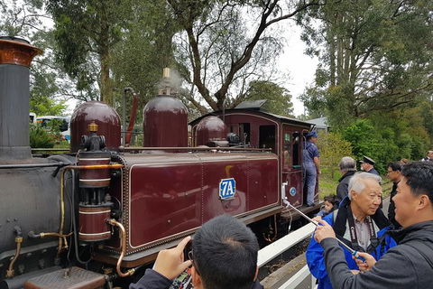 Day Tour Of Yarra Valley Puffing Billy And Rayners Orchard - Accommodation Bookings 28