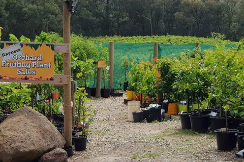 Day Tour Of Yarra Valley Puffing Billy And Rayners Orchard - Accommodation Bookings 22