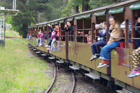 Day Tour Of Yarra Valley Puffing Billy And Rayners Orchard - Accommodation Bookings 13