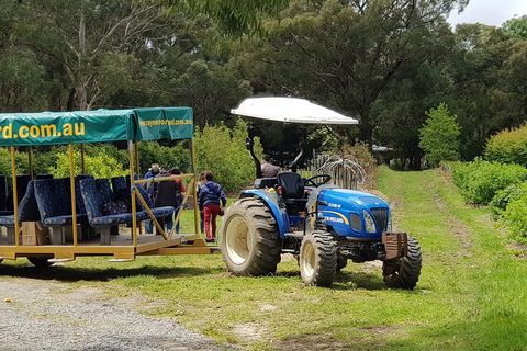 Day Tour Of Yarra Valley Puffing Billy And Rayners Orchard - Accommodation Bookings 25