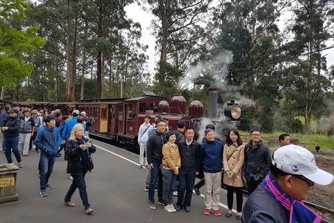 Day Tour Of Yarra Valley Puffing Billy And Rayners Orchard - Accommodation Bookings 9