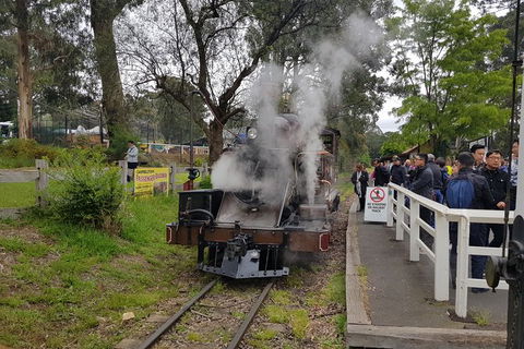 Day Tour Of Yarra Valley Puffing Billy And Rayners Orchard - Accommodation Bookings 43