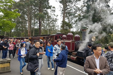 Day Tour Of Yarra Valley Puffing Billy And Rayners Orchard - Accommodation Bookings 12
