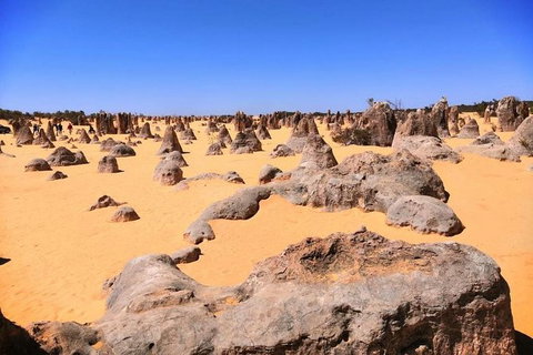 The Pinnacles, Yanchep National Park, Crystal Cave, And Moore River Tour - Accommodation Bookings 3