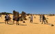 The Pinnacles, Yanchep National Park, Crystal Cave, And Moore River Tour - thumb 5