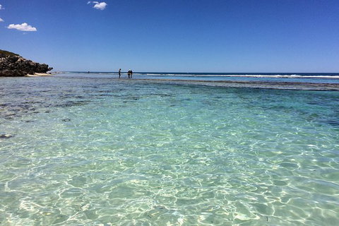The Pinnacles, Yanchep National Park, Crystal Cave, And Moore River Tour - Accommodation Bookings 1