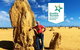 Pinnacles Desert (Private) Day Tour - thumb 0