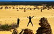 Pinnacles Desert (Private) Day Tour - thumb 30
