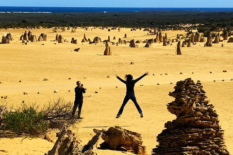 Pinnacles Desert (Private) Day Tour - Accommodation Bookings 30
