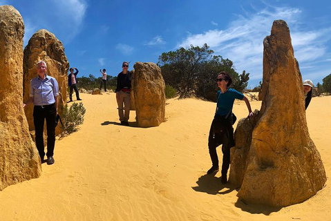 Pinnacles Desert (Private) Day Tour - Accommodation Bookings 1