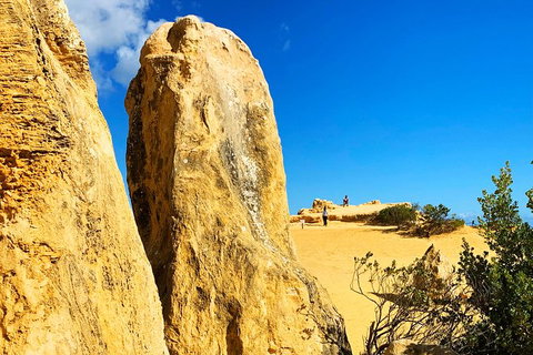 Pinnacles Desert (Private) Day Tour - Accommodation Bookings 17