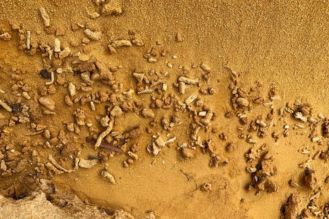 Pinnacles Desert (Private) Day Tour - Accommodation Bookings 34