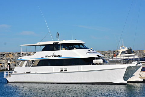 Bremer Bay Orca Experience - Accommodation Bookings 4