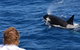 Bremer Bay Orca Experience - thumb 7