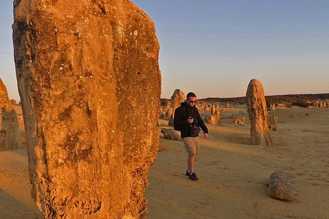 Private, Luxury Pinnacles Tour: Stargazing, Sand-boarding & Sightseeing - Accommodation Bookings 2