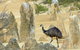 Private, Luxury Pinnacles Tour: Stargazing, Sand-boarding & Sightseeing - thumb 8
