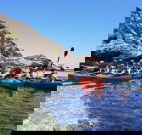 Rottnest Glass Bottom Kayaking Tour - Accommodation Bookings