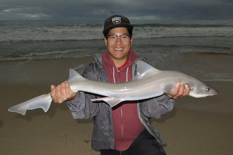 Perth Metro Drone Fishing - Accommodation Bookings 11