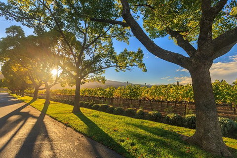 Very Best Of Perth Tour - Wildlife Park & City Highlights Tour - Accommodation Bookings 3
