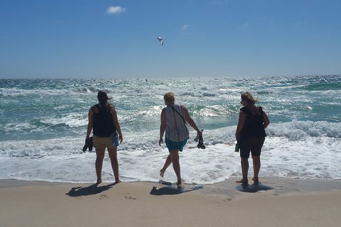 Very Best Of Perth Tour - Wildlife Park & City Highlights Tour - Accommodation Bookings 16