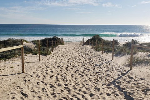 Very Best Of Perth Tour - Wildlife Park & City Highlights Tour - Accommodation Bookings 9