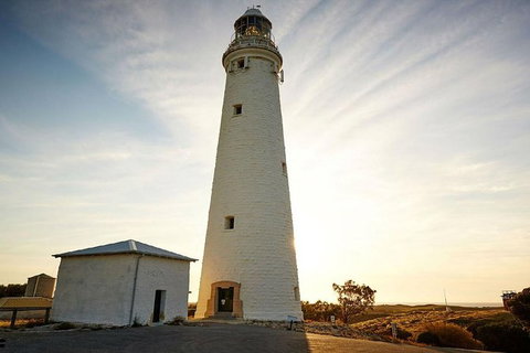 Rottnest Island Settlement Explorer Segway Package From Perth - Accommodation Bookings 6
