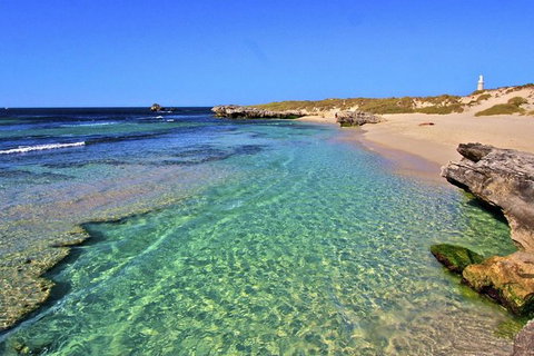 Rottnest Island Settlement Explorer Segway Package From Perth - Accommodation Bookings 3
