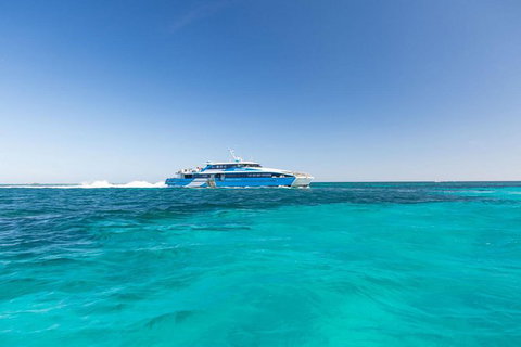 Rottnest Island Settlement Explorer Segway Package From Perth - Accommodation Bookings 4