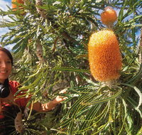 Best of Perth Wildflower Season Day Trip - Accommodation Bookings