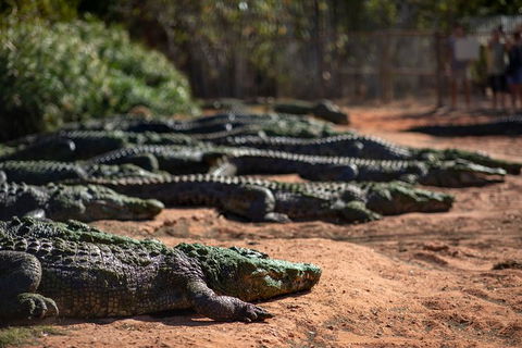 Malcolm Douglas Crocodile Park - Accommodation Bookings 8