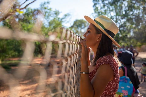 Malcolm Douglas Crocodile Park - Accommodation Bookings 12