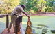 Malcolm Douglas Crocodile Park - thumb 3