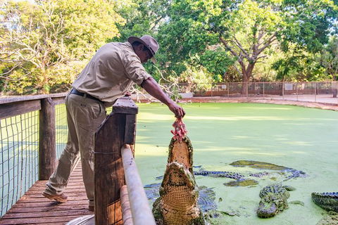 Malcolm Douglas Crocodile Park - Accommodation Bookings 3