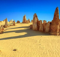Full-Day Pinnacles Desert and Yanchep National Park Tour From Perth - Accommodation Bookings