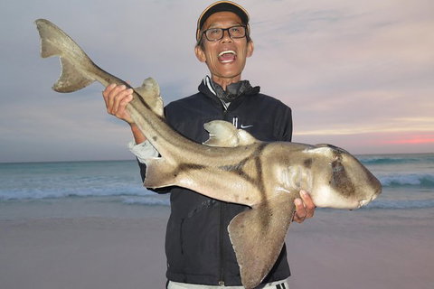 Half-Day Beach Fishing Safari - Accommodation Bookings 21