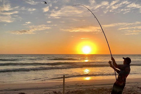 Half-Day Beach Fishing Safari - Accommodation Bookings 31
