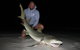 Half-Day Beach Fishing Safari - thumb 24