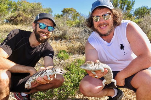 Half-Day Beach Fishing Safari - Accommodation Bookings 20