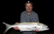 Half-Day Beach Fishing Safari - thumb 33