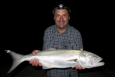 Half-Day Beach Fishing Safari - Accommodation Bookings 33