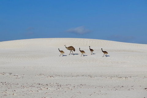 Half-Day Beach Fishing Safari - Accommodation Bookings 15