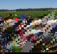 Margaret River Tour The Full Bottle - Accommodation Bookings
